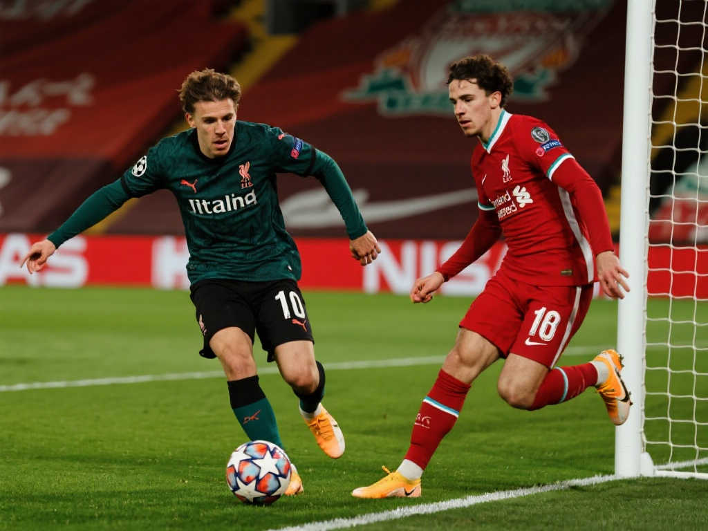 巨大补充 巨大补充