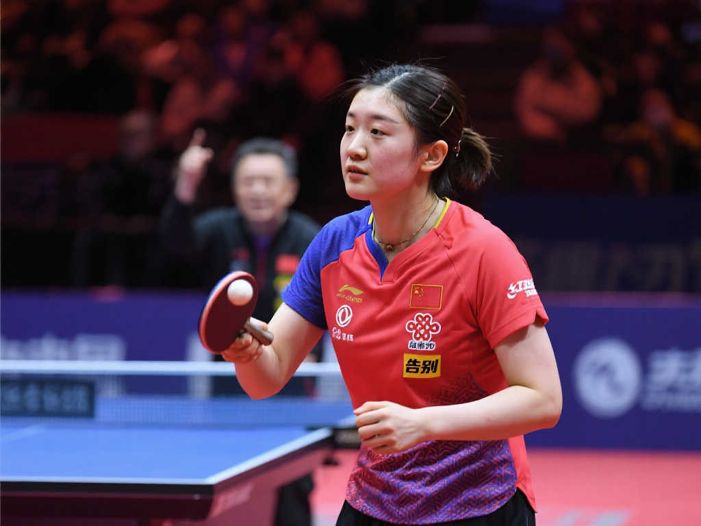 向的严重违 向的严重违